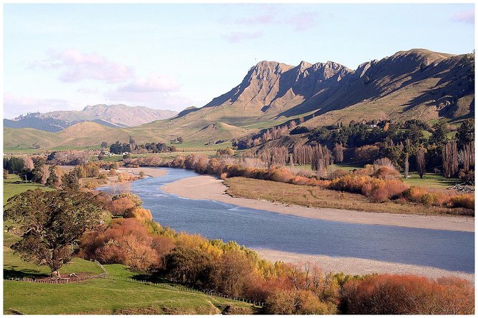 Shore Excursion: 4-Hour Discover Hawkes Bay and Napier Tour - From Napier Port through Hastings and Hawke’s Bay