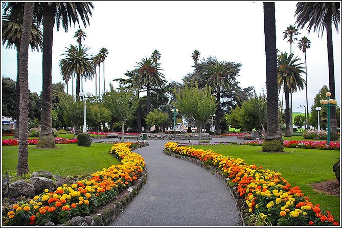 Shore Excursion: 4-Hour Discover Hawkes Bay and Napier Tour - The vehicle, group size, and comfort question