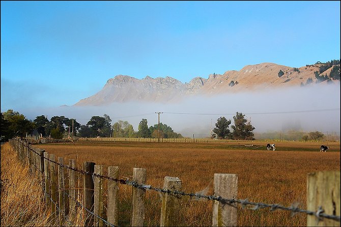 Shore Excursion: 4-Hour Discover Hawkes Bay and Napier Tour - What the four hours feel like