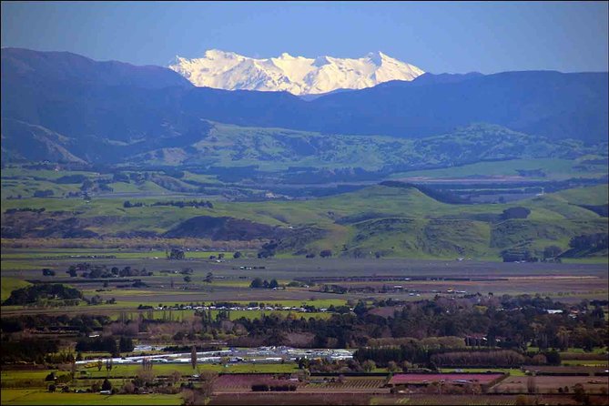 Shore Excursion: 4-Hour Discover Hawkes Bay and Napier Tour - Who will get the most from it