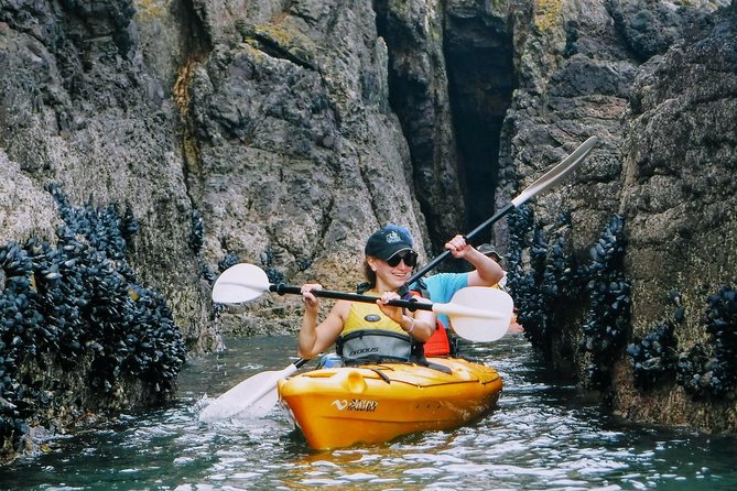Shore Excursion Guided Sea Kayaking through Akaroa Marine Reserve - Getting comfortable in the tandem kayaks