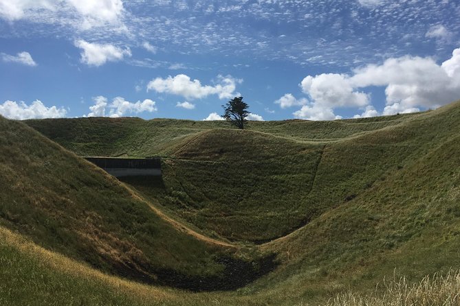 Shore Excursion: Half-Day Auckland Volcanoes Tour - Why Auckland’s volcanoes make a better city introduction