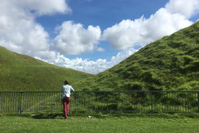 Shore Excursion: Half-Day Auckland Volcanoes Tour - Mt. Eden and the best city views
