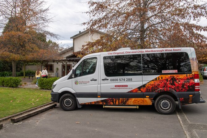Shore Excursion Marlborough Wine Region Tour from Picton - A small van instead of a cruise coach