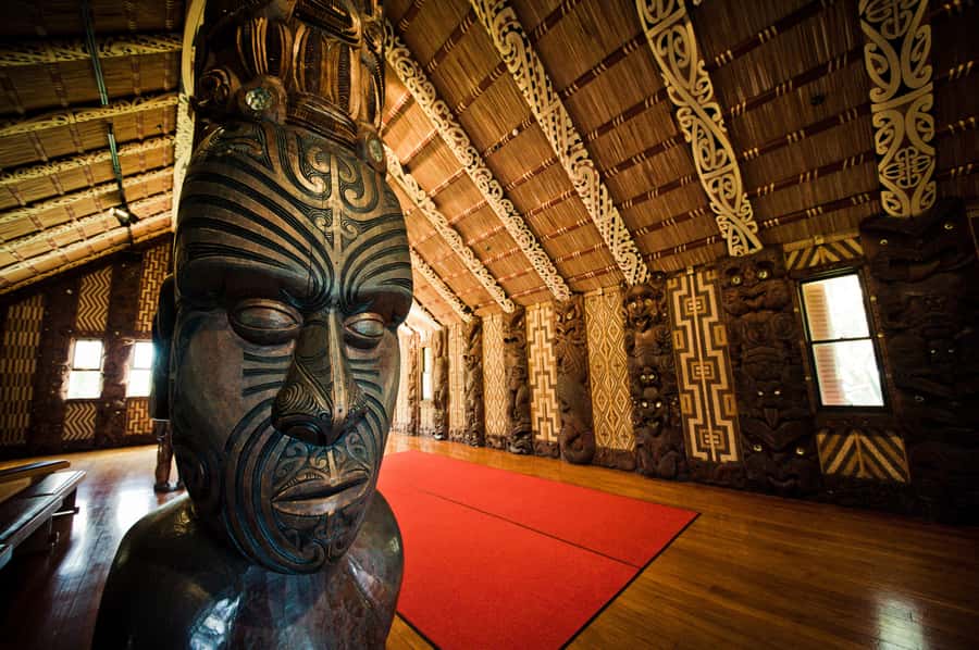 Shore Excursion to Historic Kerikeri including Lunch - Highlights worth knowing before you book