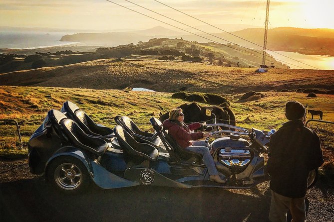 Shore Excursion: V8 Trike, Peninsula and City Tour - A V8 trike is the star of this Dunedin ride