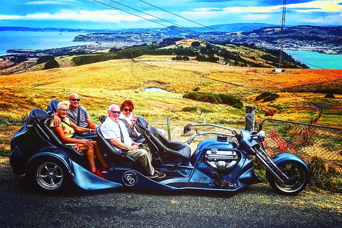 Shore Excursion: V8 Trike, Peninsula and City Tour - Starting at the Octagon and First Church of Otago