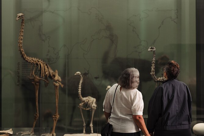 Skip the Line: Auckland Museum General Admission Ticket - How long should you spend inside?