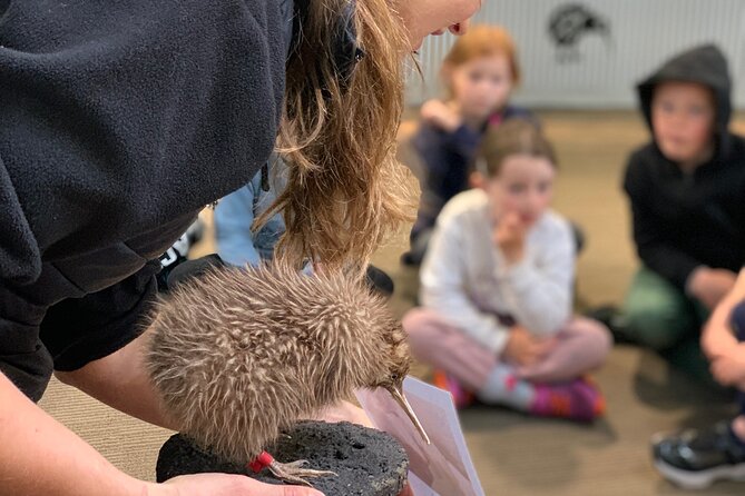 Skip the Line: Franz Josef Wildlife Center Ticket with Optional Backstage Pass - Meeting the kiwi in Franz Josef