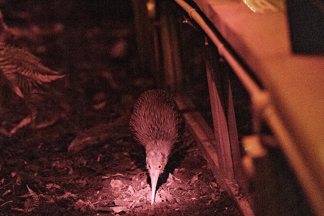 Skip the Line: Franz Josef Wildlife Center Ticket with Optional Backstage Pass - Is the Backstage Pass worth the extra cost?
