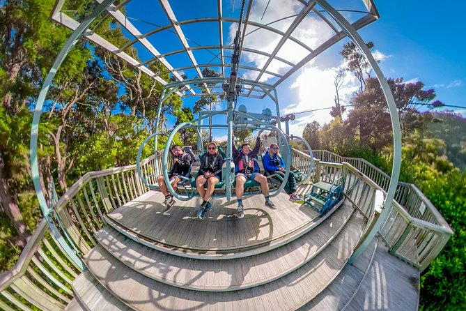 Skywire Adventure at Cable Bay, Nelson - The 4-kilometre ride to the launch platform