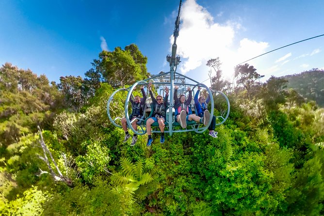 Skywire Adventure at Cable Bay, Nelson - The Base Café and check-in