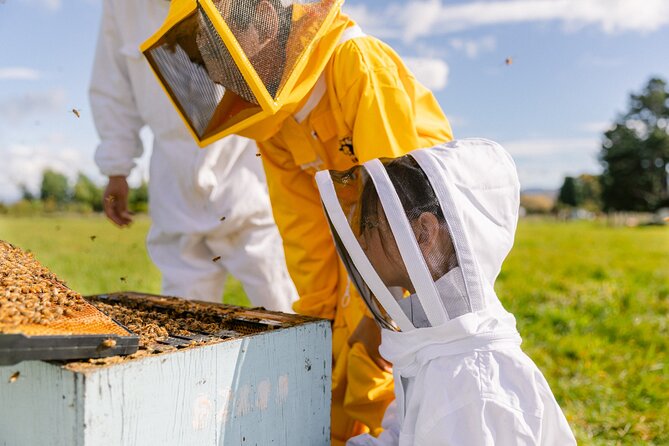 Small-Group Beekeeping Experience in Tauherenikau - Key points at a glance