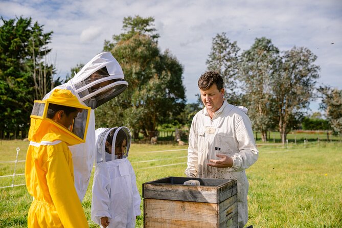 Small-Group Beekeeping Experience in Tauherenikau - Inspecting a working beehive