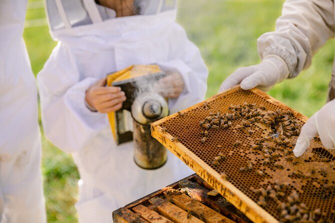 Small-Group Beekeeping Experience in Tauherenikau - Optional native trees and your own honey jar