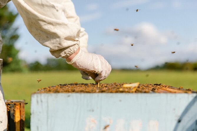 Small-Group Beekeeping Experience in Tauherenikau - How the $42.66 price compares in value