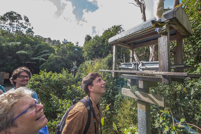 Small Group Daytime 2-Hour Eco Wildlife Tour at Zealandia - The first walk through forest and wetland tracks