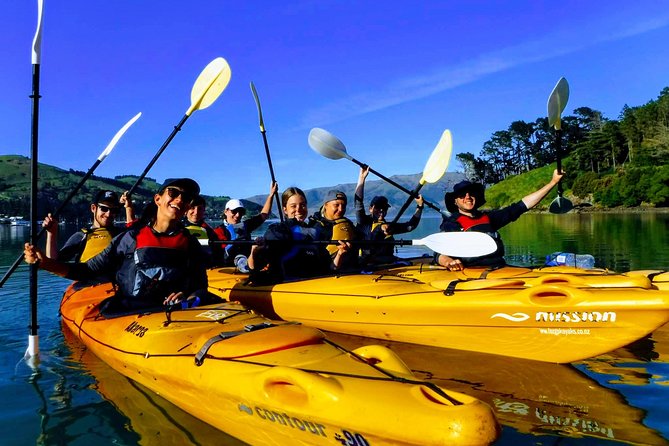 Small group guided sea kayaking in Akaroa marine reserve - Key points at a glance