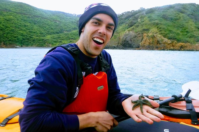 Small group guided sea kayaking in Akaroa marine reserve - Akaroa’s volcanic coast from water level