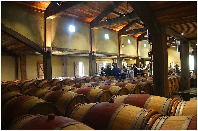 Small Group - Half-Day Hawke's Bay Winery Tour - Lunch and food pairing in the middle of the day