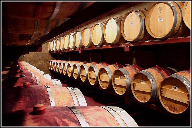 Small Group - Half-Day Hawke's Bay Winery Tour - The boutique winery comes first