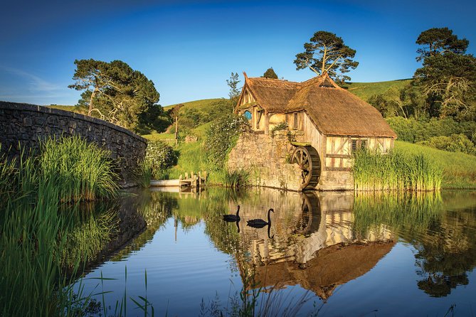 Small-Group Hobbiton Tour from Auckland with Party Marquee Lunch - Party Marquee buffet lunch