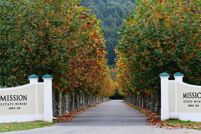 Small group - Napier Premium Wineries+ Beer tour -5.0 - 5.5 hours - What the guide adds between the cellar doors