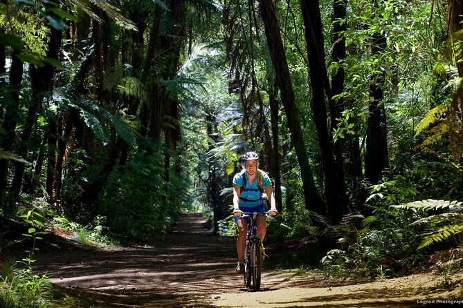 Small Group Northern Voyager 7 Days Tour - What this seven-day route does well