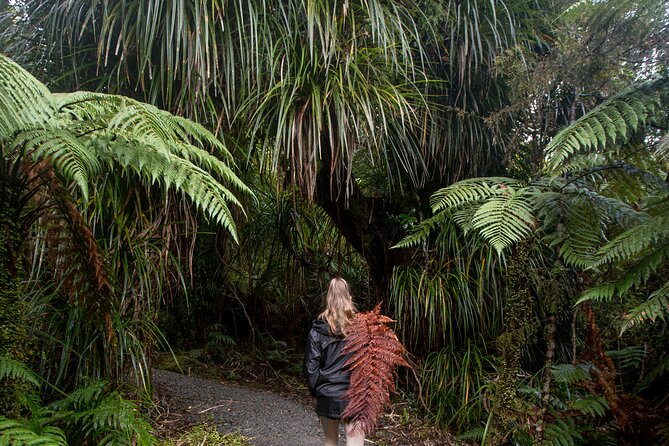 Small Group Northern Voyager 7 Days Tour - Day 7: Raglan’s surf culture and the return to Auckland