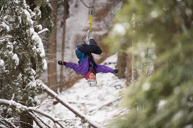 Small-Group Zipline Adventure in Queenstown - Flying through beech forest with Queenstown below