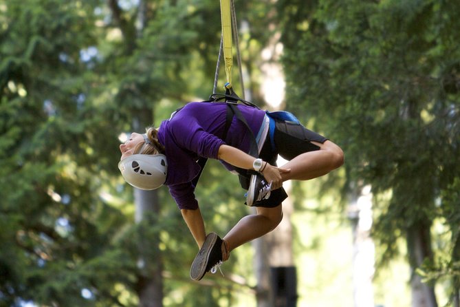 Small-Group Zipline Adventure in Queenstown - The practical cost of a two-hour adventure