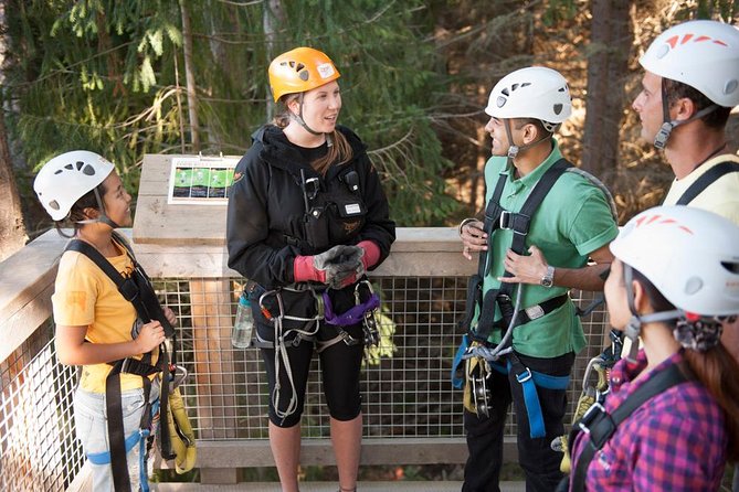 Small-Group Zipline Adventure in Queenstown - Three courses, from gentle introduction to a 21-meter drop