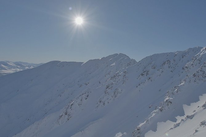 Southern Alps Scenic - Who will get the most from this flight