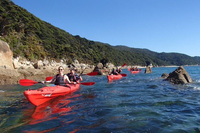 Southern Duo kayak & walk tour - Starting at 8:30 am in Marahau