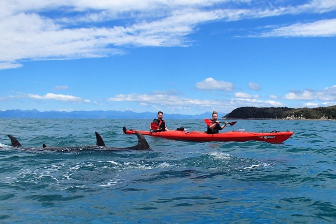 Southern Duo kayak & walk tour - Leaving the water for a three-hour park walk