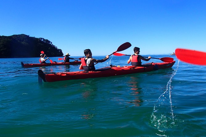 Southern Duo kayak & walk tour - Weather, timing, and the sensible backup plan