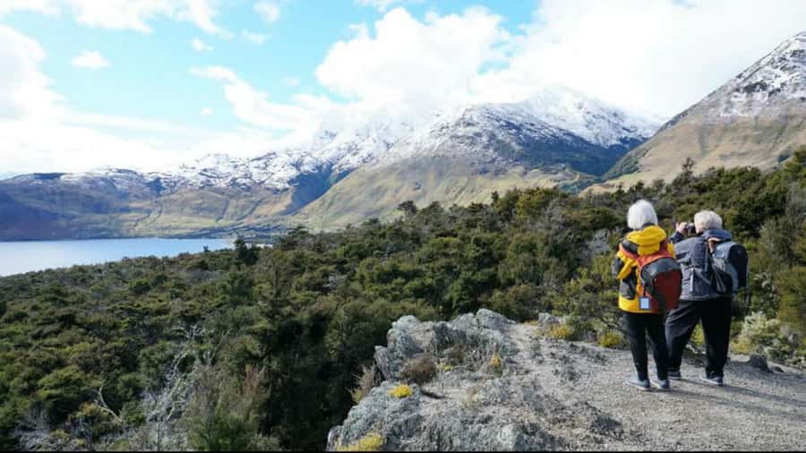 Stevensons Island 2-Hour Cruise and Nature Walk - Is $50 good value for two hours?