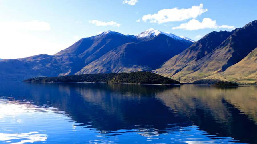 Stevensons Island 2-Hour Cruise and Nature Walk - Who should choose this experience?