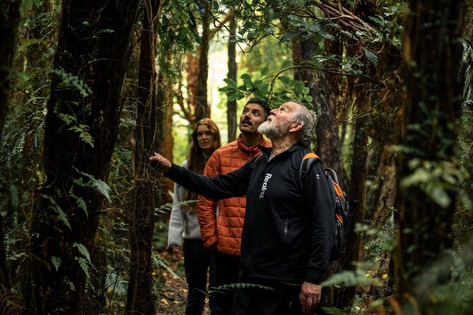 Stewart Island Guided Wilderness Walk - Walking the native bush and beaches at Oneke