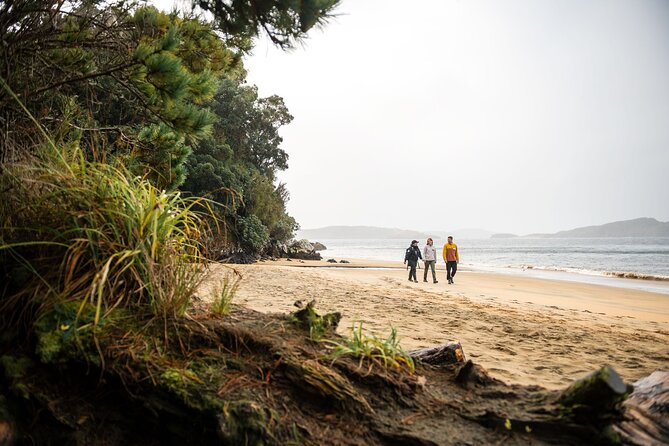 Stewart Island Guided Wilderness Walk - Māori tradition and European stories along the route