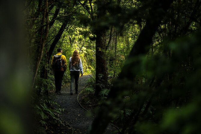 Stewart Island Guided Wilderness Walk - How the three-hour schedule works for your day