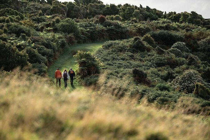 Stewart Island Guided Wilderness Walk - What the $123.49 price buys you