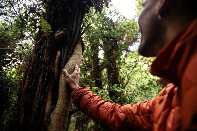 Stewart Island Guided Wilderness Walk - Who will enjoy this walk most