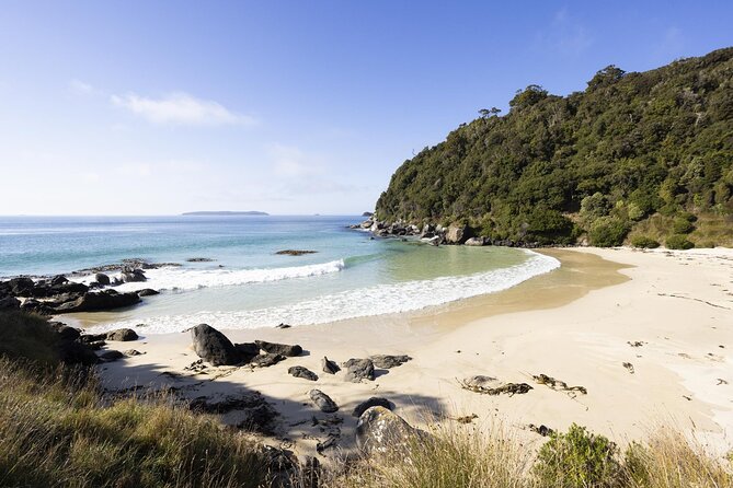 Stewart Island: Guided Wilderness Walk - Starting at Oban’s ferry terminal