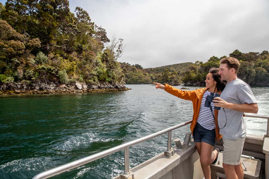 Stewart Island: Ulva Island Guided Wilderness Walk & Cruise - Key points to know before you go