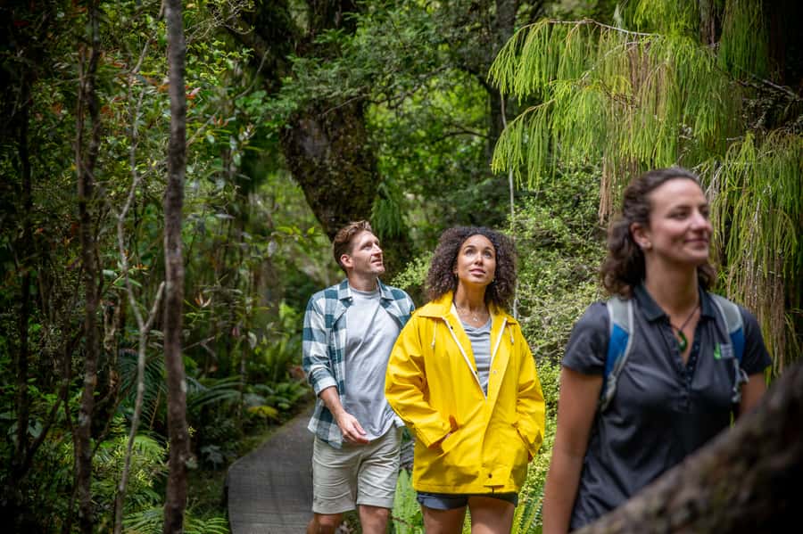 Stewart Island: Ulva Island Guided Wilderness Walk & Cruise - Should you book the Ulva Island guided walk?