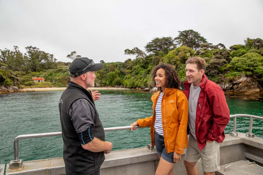 Stewart Island: Ulva Island Guided Wilderness Walk & Cruise - Setting out from Stewart Island’s Main Wharf