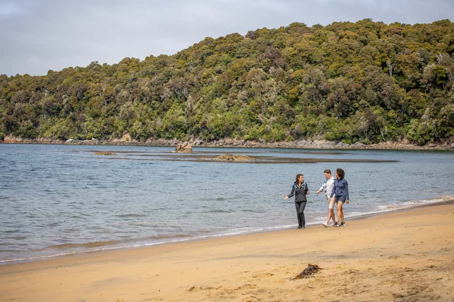 Stewart Island: Ulva Island Guided Wilderness Walk & Cruise - Walking into Ulva Island Wildlife Sanctuary