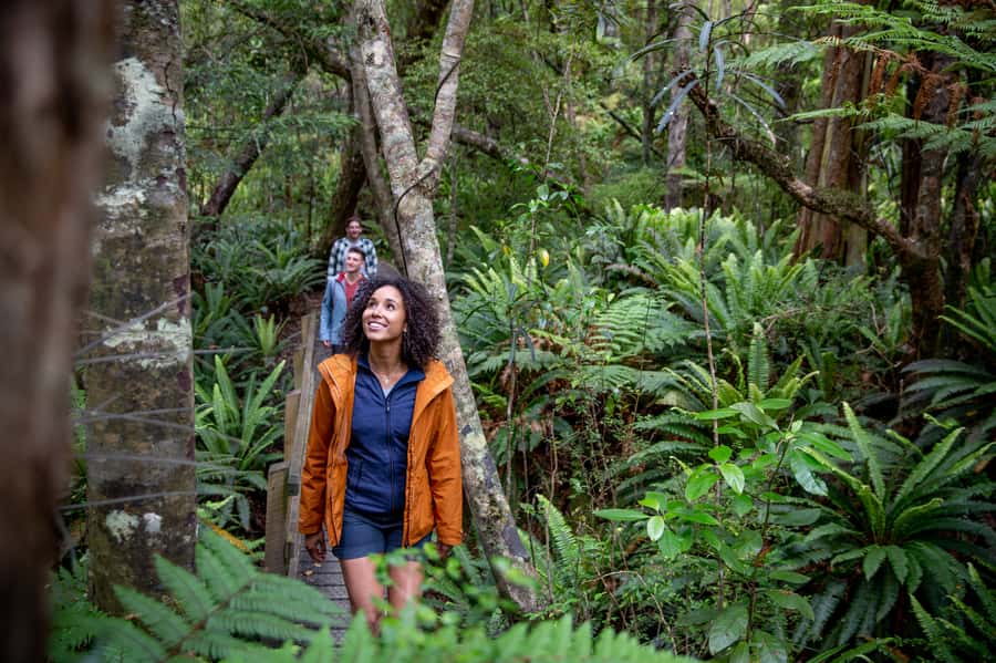 Stewart Island: Ulva Island Guided Wilderness Walk & Cruise - The plants matter as much as the birds