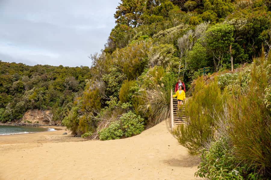 Stewart Island: Ulva Island Guided Wilderness Walk & Cruise - How much wildlife might you see?